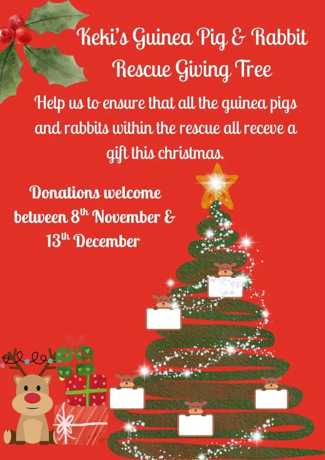 Rescue Giving Tree - ensure all the animals receive a gift this Christmas