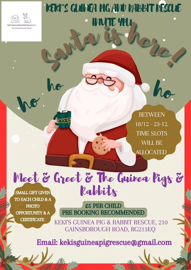 Santa Meet & Greet! poster