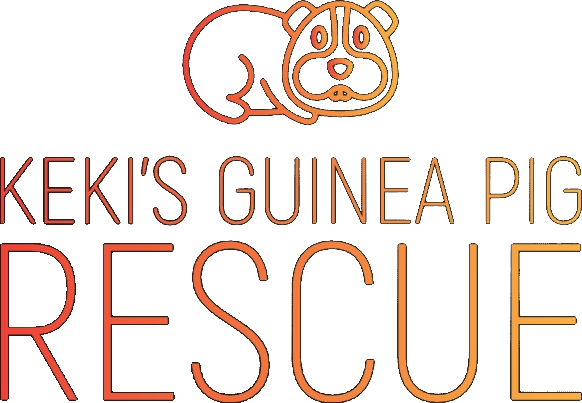 Kekis Guinea Pig Rescue