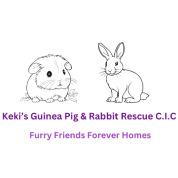 Keki's Guinea Pig & Rabbit Rescue CIC logo