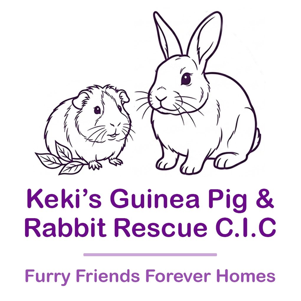 Keki's Guinea Pig and Rabbit Rescue C.I.C logo