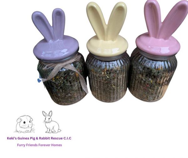 Refillable Rabbit Foraging Jars
