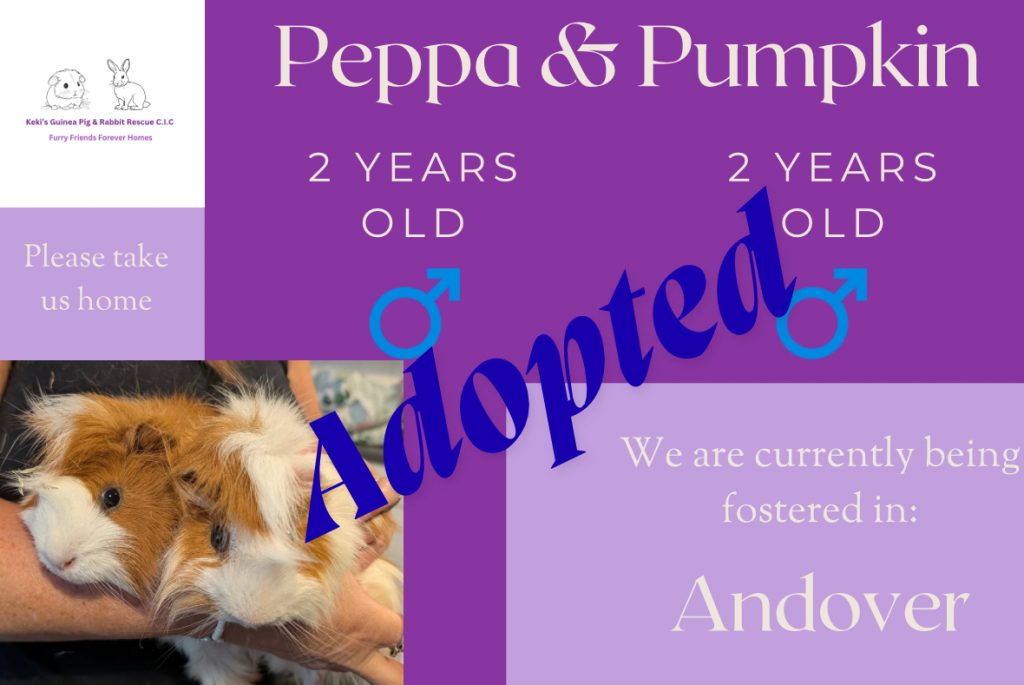 Peppa and Pumpkin adopted details