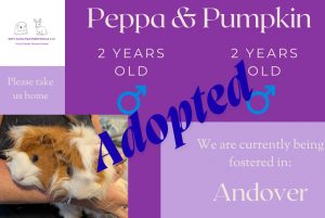 Peppa and Pumpkin adopted details