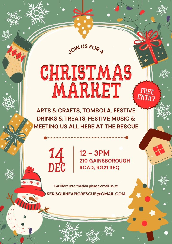 Join us for a Christmas Market on 14 December 2025