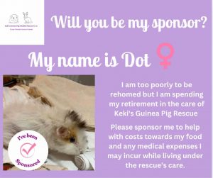 Sponsor Dot - I already have a sponsor but can always use some additional support