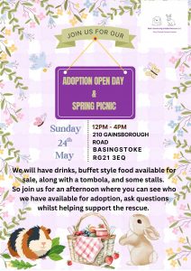 Event: Adoption Open Day and Spring Picnic, Sunday 24th May