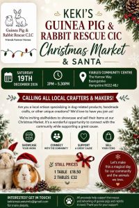 Christmas Market & Santa poster 19 December 2026