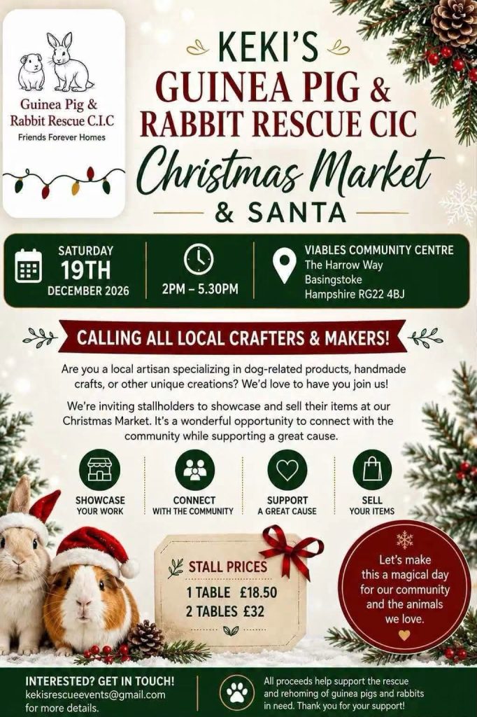 Christmas Market & Santa poster 19 December 2026